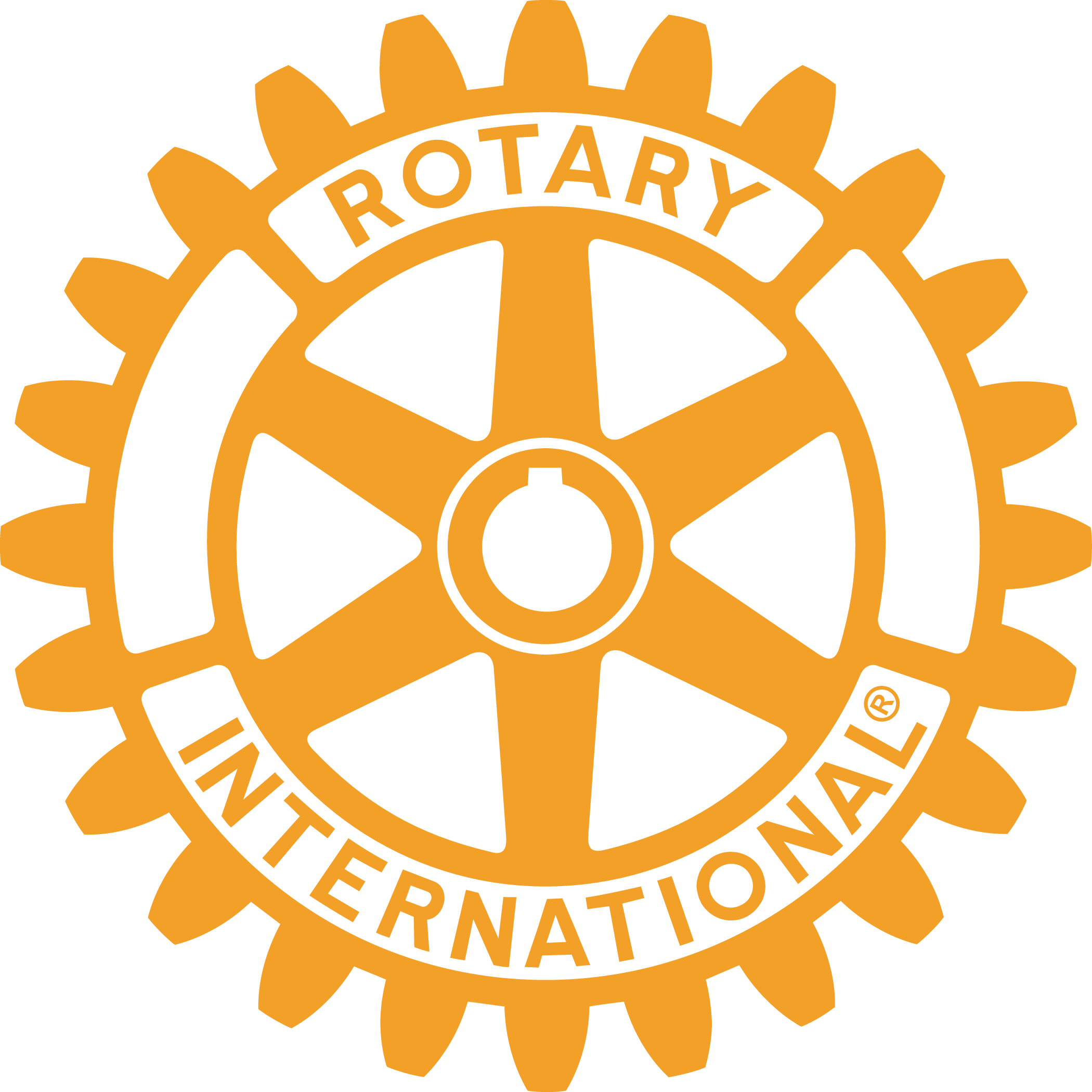 Rotary Mark of Excellence